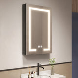 waterpar 24-in x 36-in Lighted LED Fog Free Surface/Recessed Mount Black Mirrored Soft Close Medicine Cabinet with Outlet