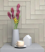 Elida Ceramica 3x12 Beige Glossy Glass Subway Wall Tile, 3-in x 12-in