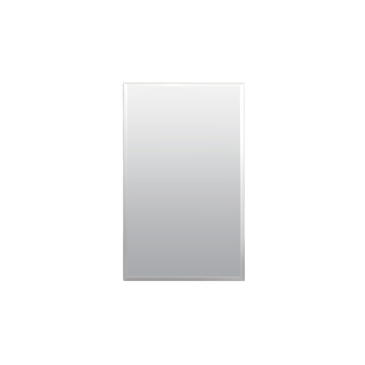 Project Source 16-in x 26-in Rectangle Surface/Recessed Frameless Mirrored Medicine Cabinet