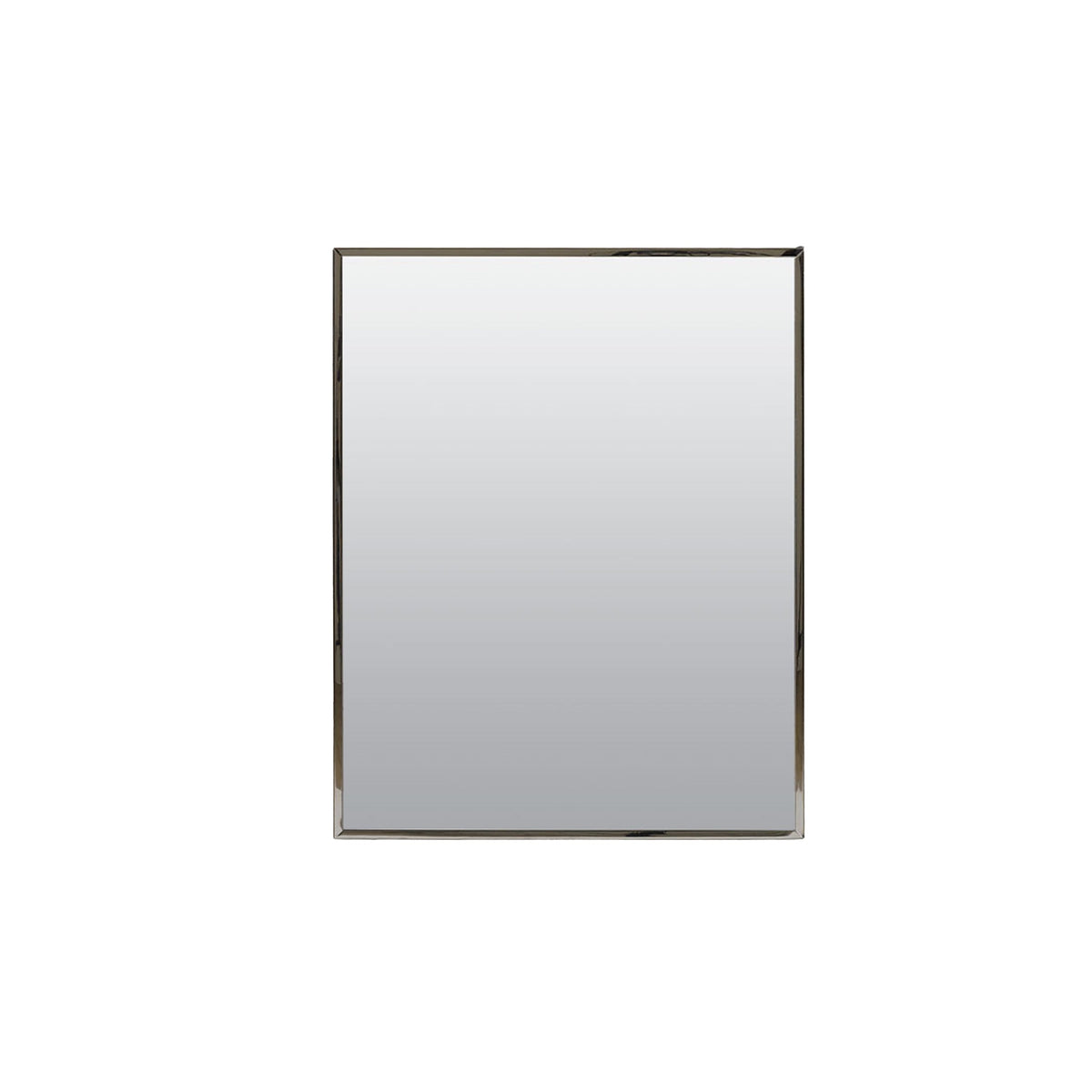 Project Source 16.13-in x 20.13-in Surface/Recessed Mount Stainless Steel Mirrored Medicine Cabinet
