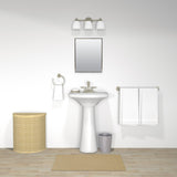 Project Source 16.13-in x 20.13-in Surface/Recessed Mount Stainless Steel Mirrored Medicine Cabinet