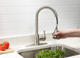 Project Source Tucker Stainless Steel 1-Handle Deck-Mount Pull-Down Kitchen Faucet with Sprayer (Deck Plate Included)