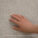 STAINMASTER Essentials Blue Diamonds I 12-ft Raw Lumber Textured Indoor Carpet