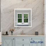WELLFOR 30-in x 32-in x 5.6-in Silver Soft Close Bathroom Wall Cabinet
