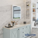 WELLFOR 30-in x 32-in x 5.6-in Silver Soft Close Bathroom Wall Cabinet