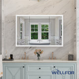 WELLFOR 48-in x 32-in x 5.6-in Silver Soft Close Bathroom Wall Cabinet