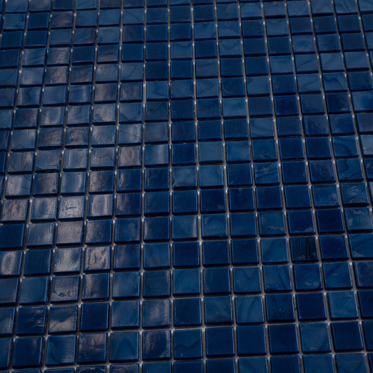 Apollo Tile Skosh Navy Blue 11-1/2-in x 11-1/2-in Glossy Glass Uniform Squares Floor and Wall Tile (18.69-sq. ft/ Carton)
