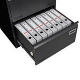 SINOFURN Black 2-Drawer 23.6-in File Cabinet