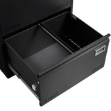 SINOFURN Black 2-Drawer 23.6-in File Cabinet