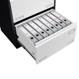 SINOFURN Black+White 2-Drawer 23.6-in File Cabinet