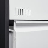 SINOFURN Black+White 2-Drawer 23.6-in File Cabinet