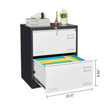 SINOFURN Black+White 2-Drawer 23.6-in File Cabinet