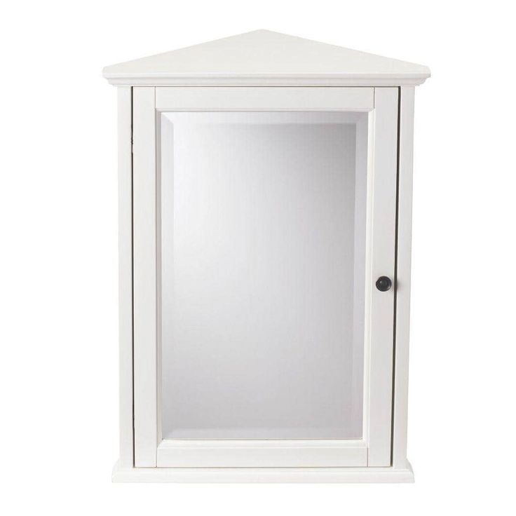 Home Decorators Collection Hamilton 20 in. W x 27 in. H Rectangular Medicine Cabinet with Mirror