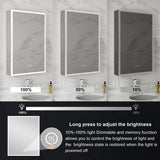 WELLFOR V2 20-in x 30-in Lighted LED Fog Free Surface/Recessed Mount Silver Mirrored Soft Close Medicine Cabinet with Outlet