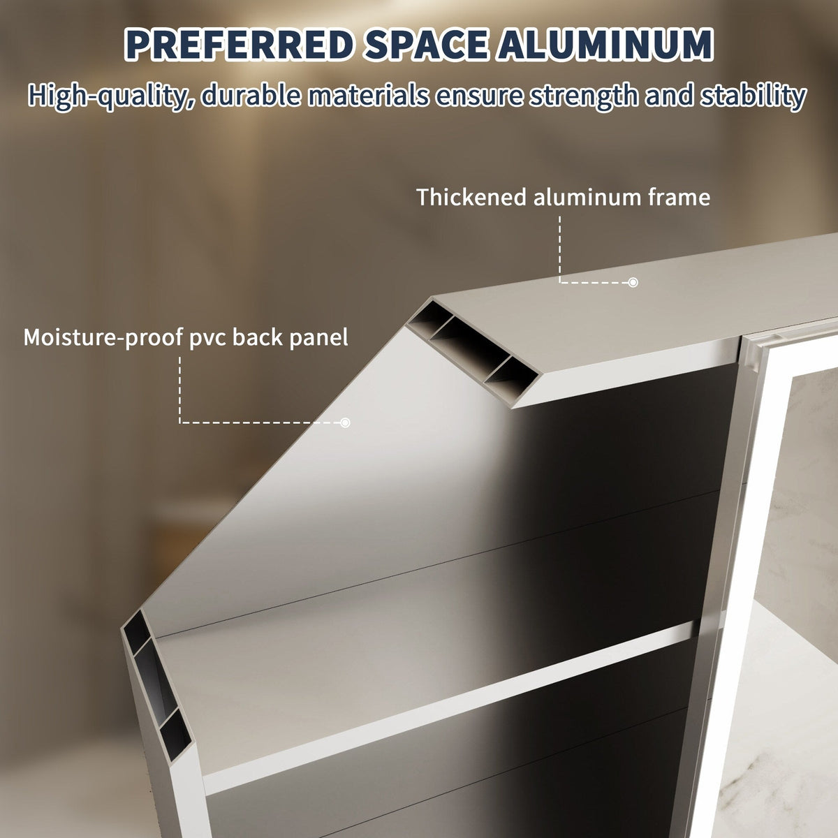 ExBrite 24-in x 32-in Lighted LED Fog Free Surface/Recessed Mount Silver Mirrored Soft Close Medicine Cabinet with Outlet