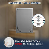 ExBrite 20-in x 32-in Lighted LED Fog Free Surface/Recessed Mount Silver Mirrored Soft Close Medicine Cabinet with Outlet