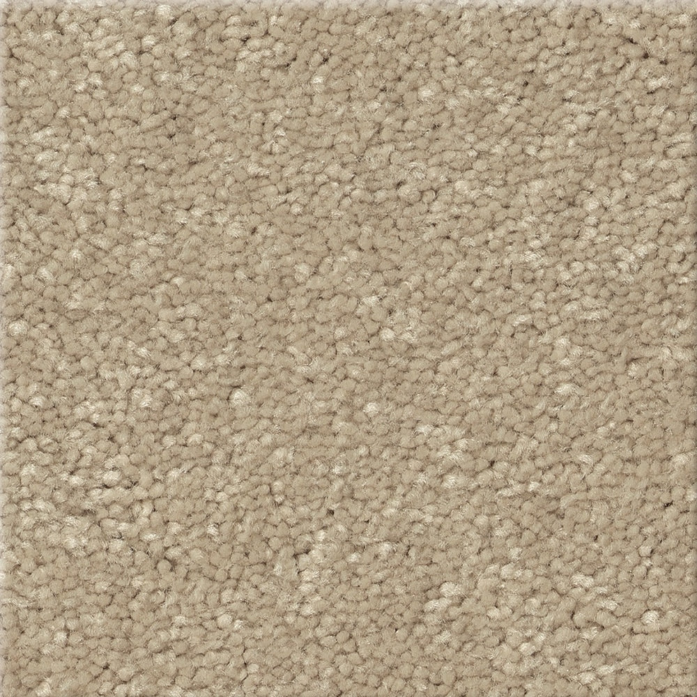 STAINMASTER Essentials Blue Diamonds III 8-in x 8-in Raw Lumber Textured Carpet Sample, 73.1-oz/sq yd Polyester (Indoor)