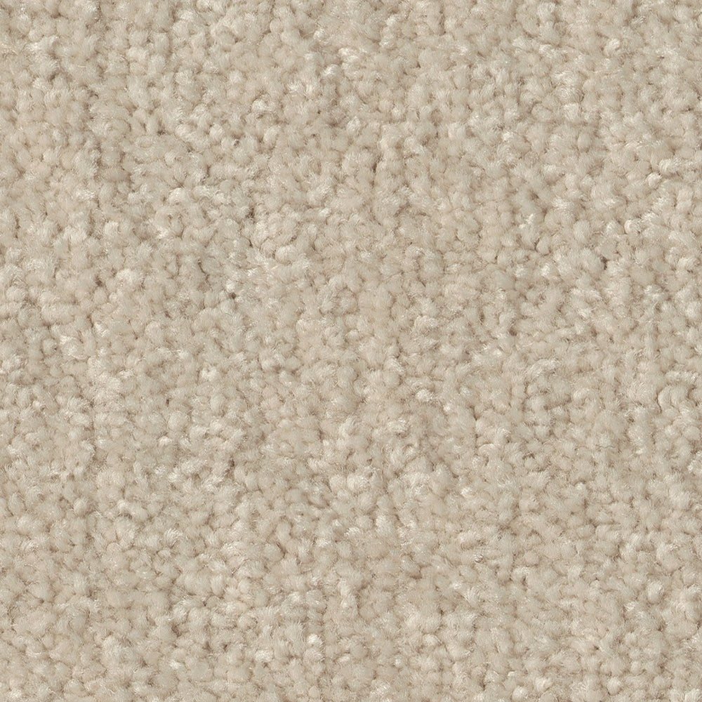 STAINMASTER Essentials Blue Diamonds II 12-ft Bleached Textured Indoor Carpet