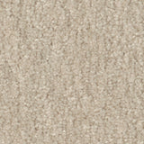 STAINMASTER Essentials Blue Diamonds II 12-ft Bleached Textured Indoor Carpet