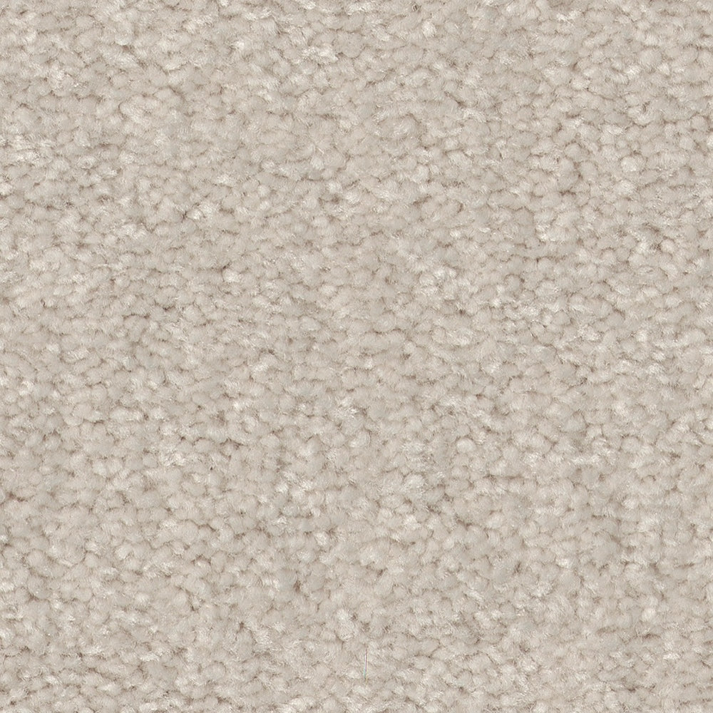 STAINMASTER Essentials Blue Diamonds II Minimalist 12-ft Textured Carpet Sample, 8-in x 8-in (Interior)