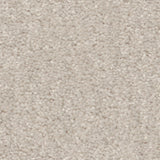 STAINMASTER Essentials Blue Diamonds II Minimalist 12-ft Textured Carpet Sample, 8-in x 8-in (Interior)