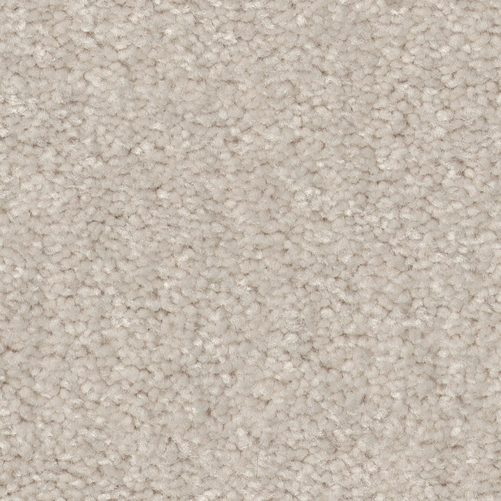 STAINMASTER Essentials Blue Diamonds II Minimalist 12-ft Textured Carpet Sample, 8-in x 8-in (Interior)