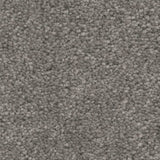 STAINMASTER Essentials Blue Diamonds II 12-ft Concrete Textured Indoor Carpet