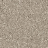 STAINMASTER Essentials Blue Diamonds I 15-ft Greige Textured Indoor Carpet, 48.8-oz Face Weight