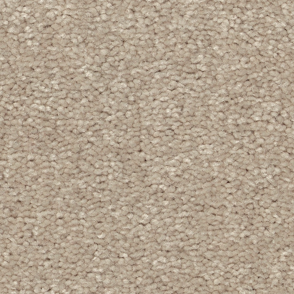 STAINMASTER Essentials Blue Diamonds III 12-ft Dreamy Textured Carpet Sample (Interior)