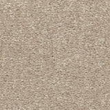 STAINMASTER Essentials Blue Diamonds III 12-ft Dreamy Textured Carpet Sample (Interior)