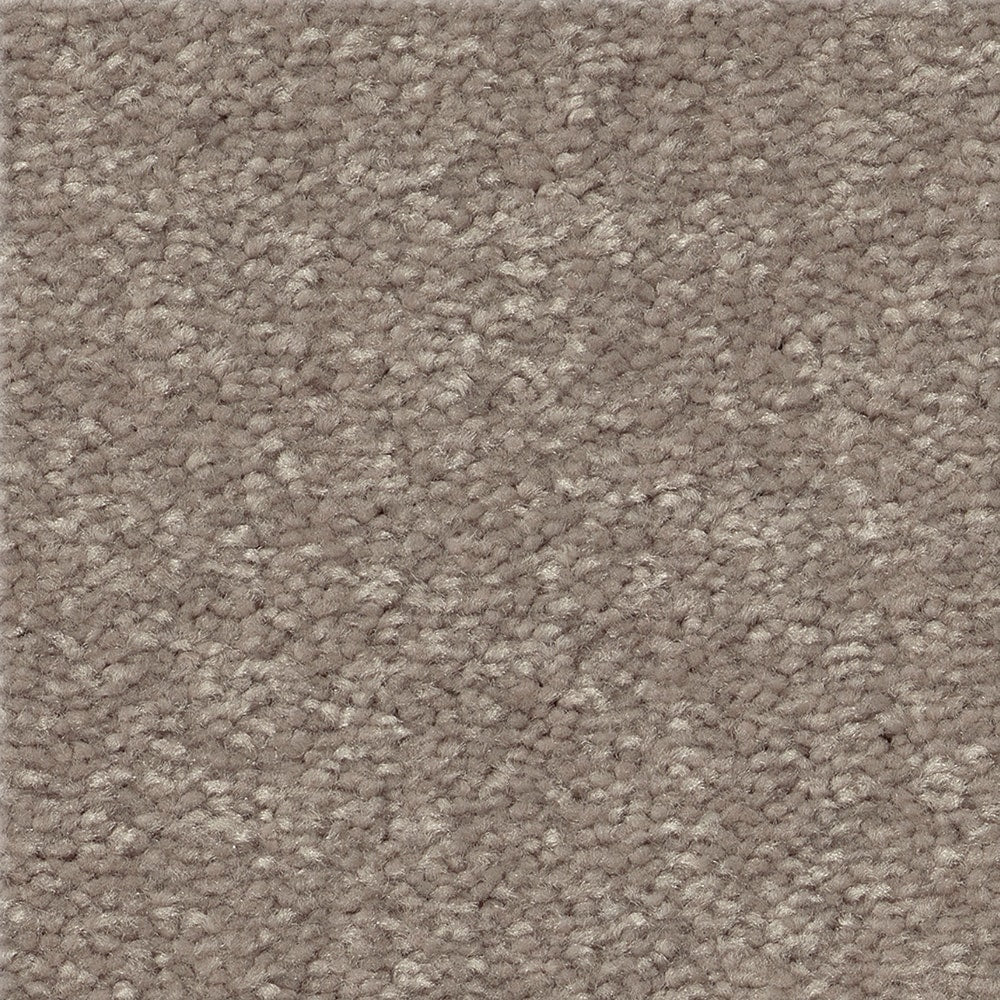 STAINMASTER Essentials Blue Diamonds III 15-ft Tree Bark Textured Carpet (Indoor)