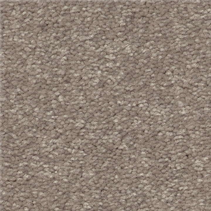 STAINMASTER Essentials Blue Diamonds III 15-ft Tree Bark Textured Carpet (Indoor)