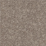 STAINMASTER Essentials Blue Diamonds I 15-ft Tree Bark Textured Indoor Carpet, 48.8-oz, Polyester