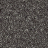 STAINMASTER Essentials Blue Diamonds I 15-ft Iron Textured Carpet (Indoor)