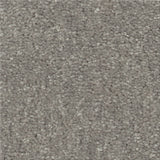 STAINMASTER Essentials Blue Diamonds II 12-ft Taupe Stone Textured Carpet (Indoor)