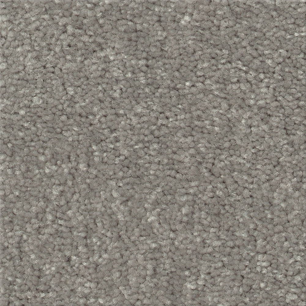 STAINMASTER Essentials Blue Diamonds I 15-ft Taupe Stone Textured Indoor Carpet