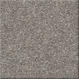 STAINMASTER Essentials Blue Diamonds III 12-ft Dusty Trail Textured Carpet Sample (Interior)