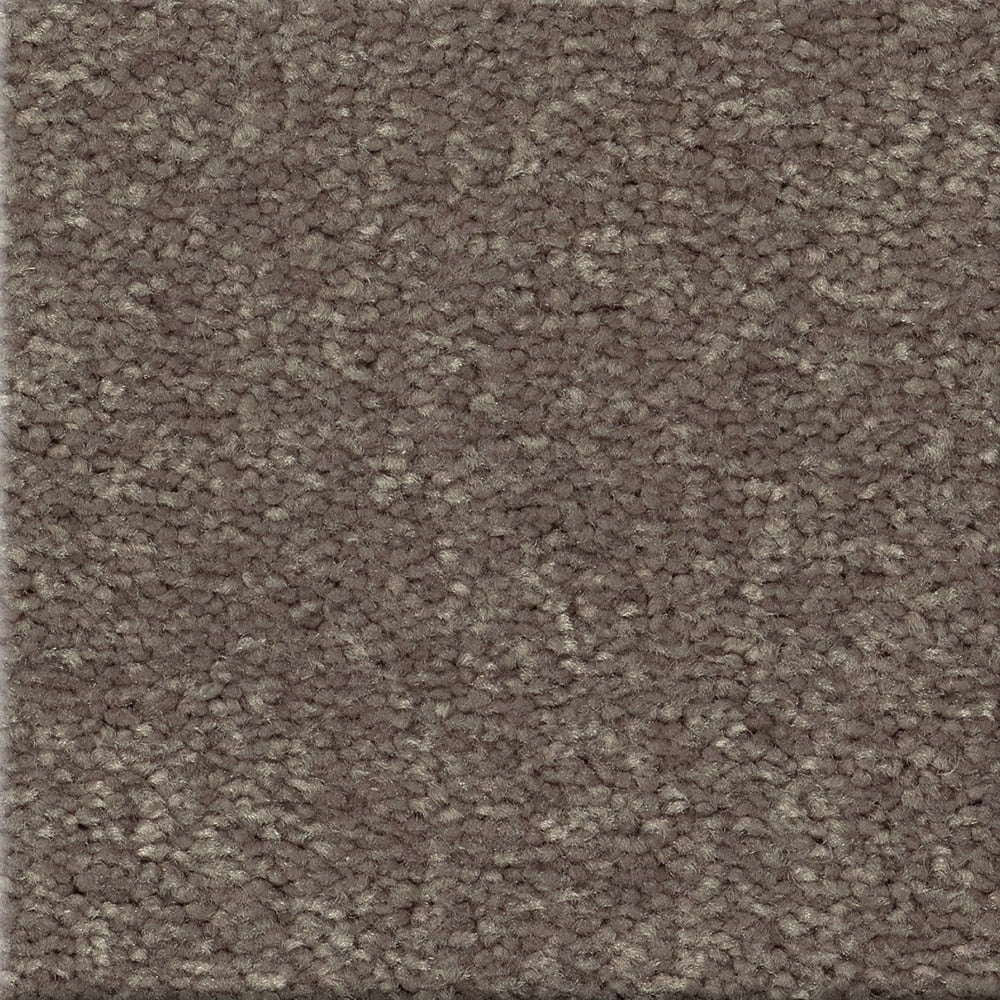 STAINMASTER Essentials Blue Diamonds III 8-in x 8-in Pewter Gray Polyester Textured Indoor Carpet Sample