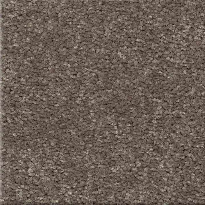 STAINMASTER Essentials Blue Diamonds III 8-in x 8-in Pewter Gray Polyester Textured Indoor Carpet Sample