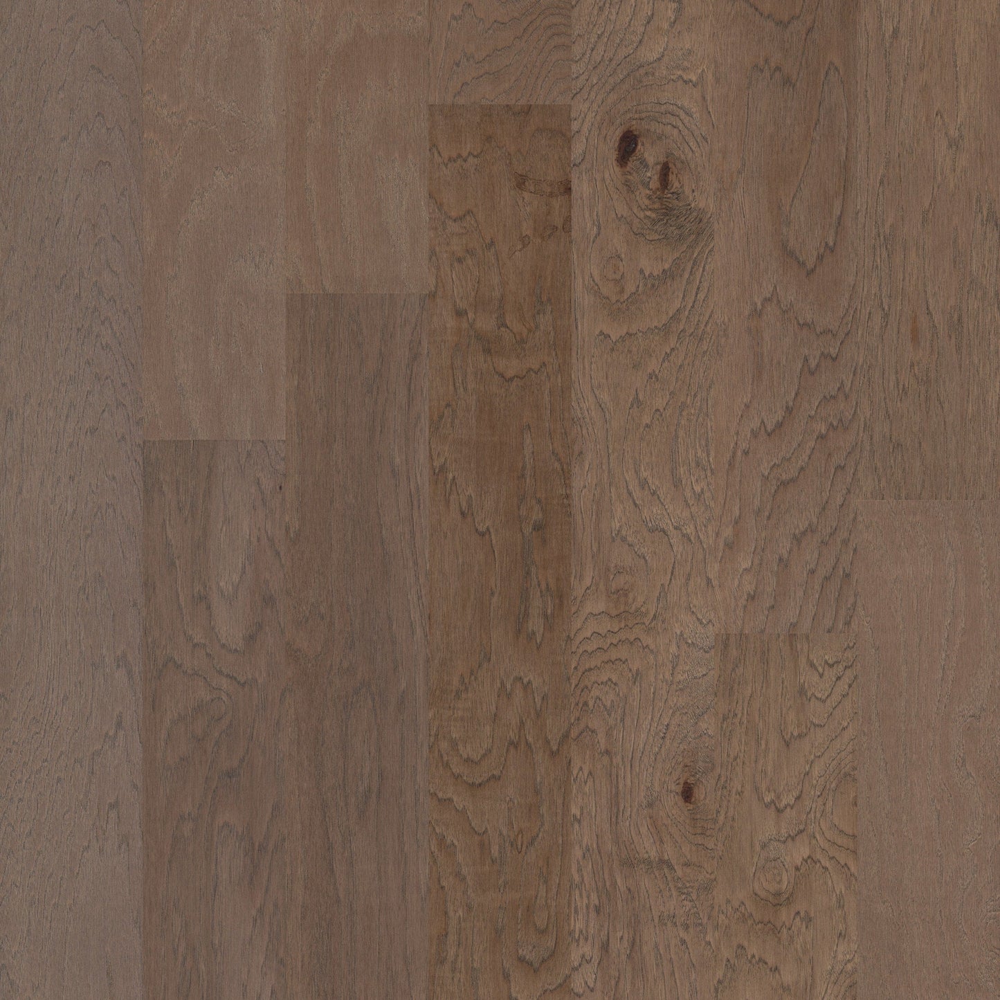 Shaw Hickory Charleston hardwood flooring — primary plank view