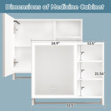 WELLFOR 31.5-in x 27.56-in Lighted LED Fog Free Surface Mount White Mirrored Soft Close Medicine Cabinet