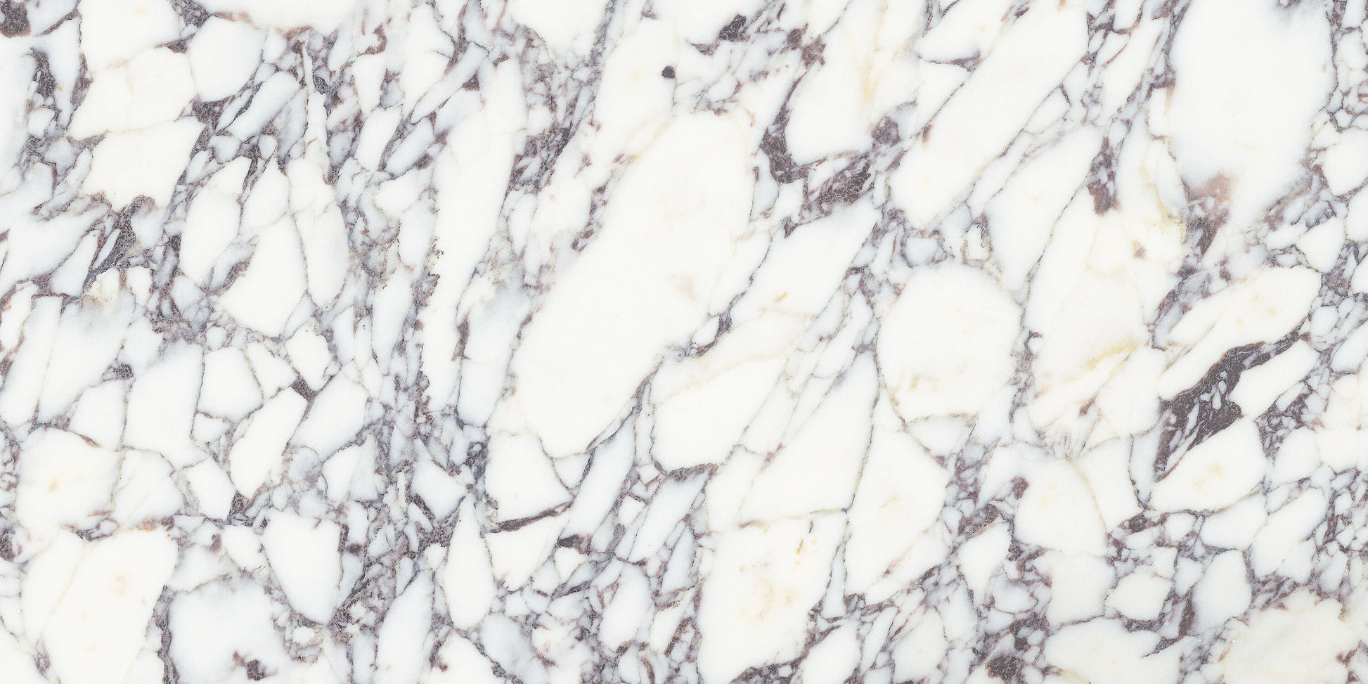 Satori Viola Roccia 12-in x 24-in Honed Natural stone Marble Marble look Floor and Wall Tile product image