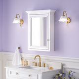 WELLFOR GRACE Solid Wood 24-in x 30-in Surface Mount White Mirrored Soft Close Medicine Cabinet