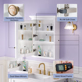 WELLFOR GRACE Solid Wood 24-in x 30-in Surface Mount White Mirrored Soft Close Medicine Cabinet