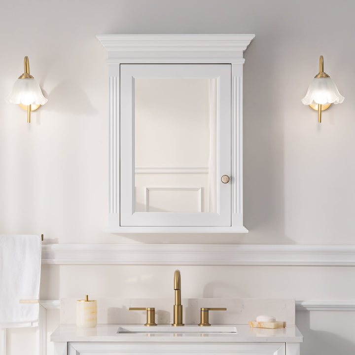 WELLFOR GRACE Solid Wood 24-in x 30-in Surface Mount White Mirrored Soft Close Medicine Cabinet