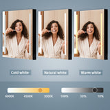 WELLFOR BG 20-in x 30-in Lighted LED Fog Free Surface Mount Black Mirrored Soft Close Medicine Cabinet