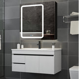 WELLFOR BG 30-in x 30-in Lighted LED Fog Free Surface Mount Black Mirrored Soft Close Medicine Cabinet