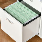 Maocao Hoom White 2-Drawer 31.5-in File Cabinet