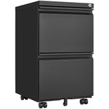 Maocao Hoom Black 2-Drawer 15.35-in File Cabinet