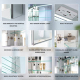 WELLFOR NIKA 20-in x 30-in Lighted LED Fog Free Surface/Recessed Mount Silver Mirrored Soft Close Medicine Cabinet with Outlet